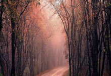 虎扑体育：瓦伦西亚1-0马略卡联赛4轮不败，迭戈-洛佩斯建功.