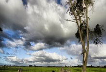 卡萨多：巴萨踢马竞和多特都不会容易 能入选西班牙队是圆梦.