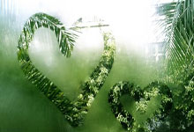 虎扑体育：状态堪忧！东契奇上半场9投2中，命中率仅为22.2%.