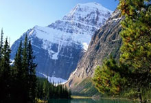 富勒姆终结曼联卫冕战 门将莱诺点球两扑成英雄.